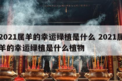 2021属羊的幸运绿植是什么 2021属羊的幸运绿植是什么植物