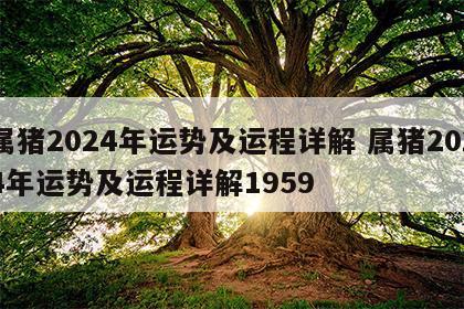属猪2024年运势及运程详解 属猪2024年运势及运程详解1959