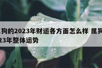 属狗的2023年财运各方面怎么样 属狗2023年整体运势