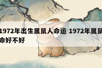 1972年出生属鼠人命运 1972年属鼠命好不好