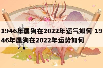 1946年属狗在2022年运气如何 1946年属狗在2022年运势如何
