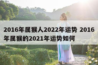 2016年属猴人2022年运势 2016年属猴的2021年运势如何