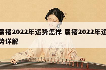 属猪2022年运势怎样 属猪2022年运势详解