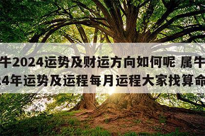 属牛2024运势及财运方向如何呢 属牛2024年运势及运程每月运程大家找算命网
