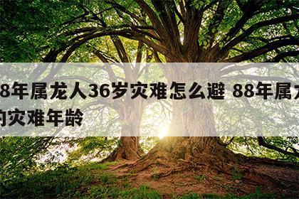 88年属龙人36岁灾难怎么避 88年属龙的灾难年龄