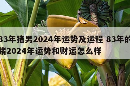83年猪男2024年运势及运程 83年的猪2024年运势和财运怎么样