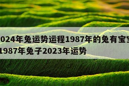 2024年兔运势运程1987年的兔有宝宝 1987年兔子2023年运势