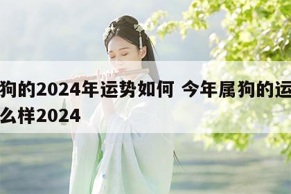 属狗的2024年运势如何 今年属狗的运势怎么样2024