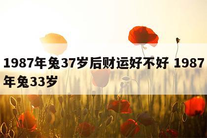 1987年兔37岁后财运好不好 1987年兔33岁