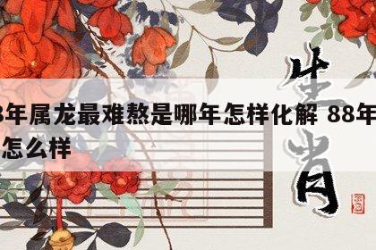 88年属龙最难熬是哪年怎样化解 88年属龙怎么样