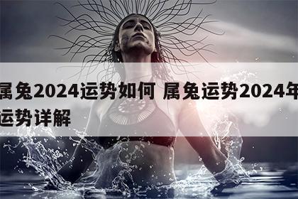 属兔2024运势如何 属兔运势2024年运势详解