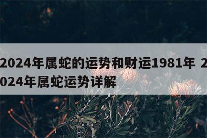 2024年属蛇的运势和财运1981年 2024年属蛇运势详解
