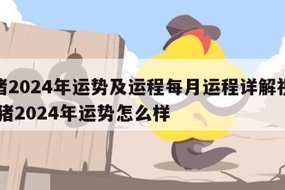 属猪2024年运势及运程每月运程详解视频 属猪2024年运势怎么样