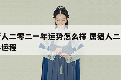 属猪人二零二一年运势怎么样 属猪人二零二零年运程