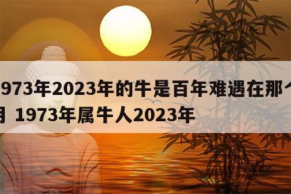 1973年2023年的牛是百年难遇在那个月 1973年属牛人2023年