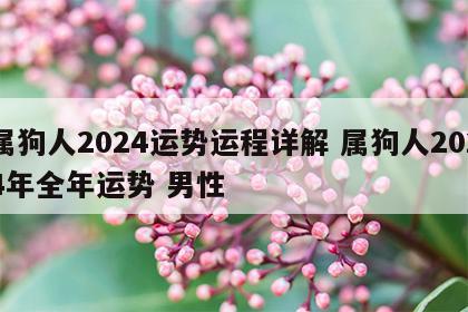 属狗人2024运势运程详解 属狗人2024年全年运势 男性