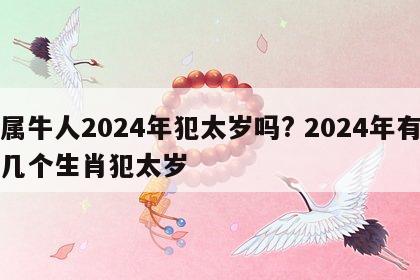 属牛人2024年犯太岁吗? 2024年有几个生肖犯太岁
