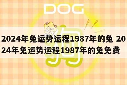 2024年兔运势运程1987年的兔 2024年兔运势运程1987年的兔免费