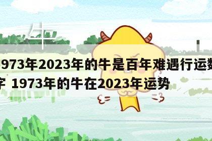 1973年2023年的牛是百年难遇行运数字 1973年的牛在2023年运势