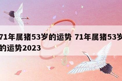 71年属猪53岁的运势 71年属猪53岁的运势2023