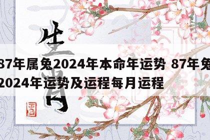 87年属兔2024年本命年运势 87年兔2024年运势及运程每月运程
