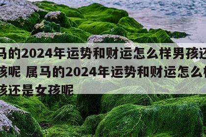 属马的2024年运势和财运怎么样男孩还是女孩呢 属马的2024年运势和财运怎么样男孩还是女孩呢