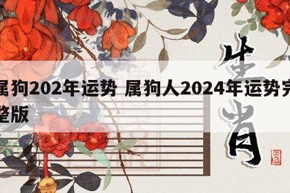 属狗202年运势 属狗人2024年运势完整版