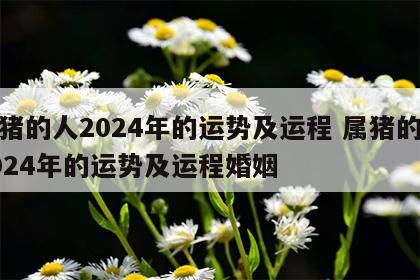 属猪的人2024年的运势及运程 属猪的人2024年的运势及运程婚姻