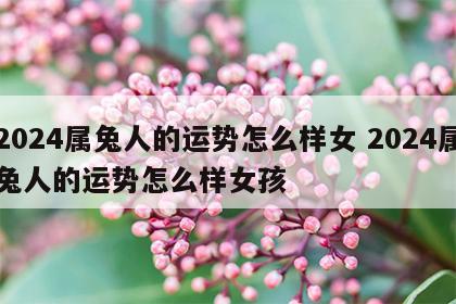 2024属兔人的运势怎么样女 2024属兔人的运势怎么样女孩