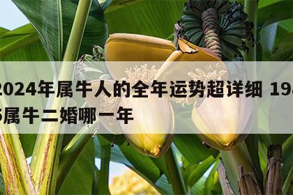 2024年属牛人的全年运势超详细 1985属牛二婚哪一年