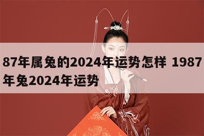 87年属兔的2024年运势怎样 1987年兔2024年运势