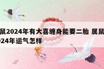 属鼠2024年有大喜缠身能要二胎 属鼠在2024年运气怎样