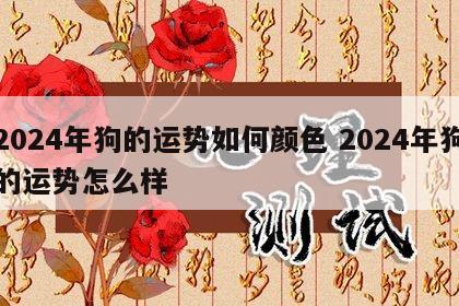 2024年狗的运势如何颜色 2024年狗的运势怎么样