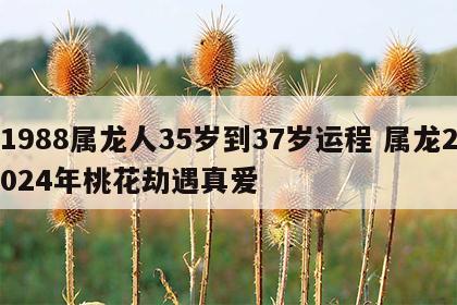1988属龙人35岁到37岁运程 属龙2024年桃花劫遇真爱