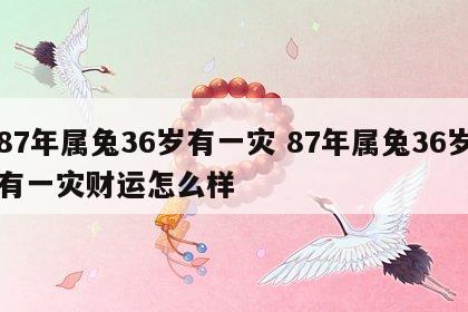 87年属兔36岁有一灾 87年属兔36岁有一灾财运怎么样
