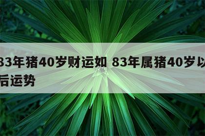 83年猪40岁财运如 83年属猪40岁以后运势