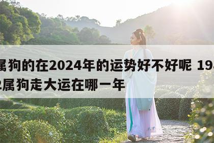 属狗的在2024年的运势好不好呢 1982属狗走大运在哪一年