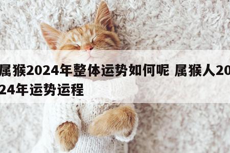 属猴2024年整体运势如何呢 属猴人2024年运势运程