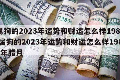 属狗的2023年运势和财运怎么样1982 属狗的2023年运势和财运怎么样1982年腊月