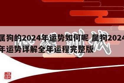 属狗的2024年运势如何呢 属狗2024年运势详解全年运程完整版