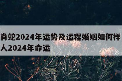 生肖蛇2024年运势及运程婚姻如何样 属蛇人2024年命运
