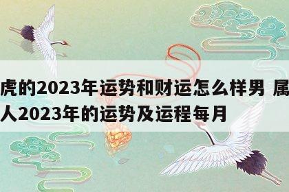 属虎的2023年运势和财运怎么样男 属虎的人2023年的运势及运程每月