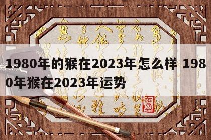 1980年的猴在2023年怎么样 1980年猴在2023年运势