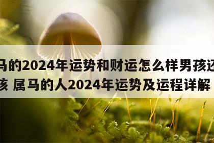 属马的2024年运势和财运怎么样男孩还是女孩 属马的人2024年运势及运程详解