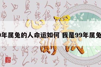 99年属兔的人命运如何 我是99年属兔的