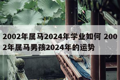 2002年属马2024年学业如何 2002年属马男孩2024年的运势