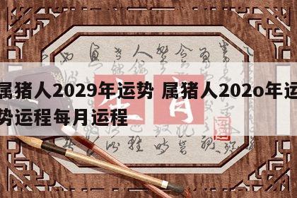 属猪人2029年运势 属猪人202o年运势运程每月运程