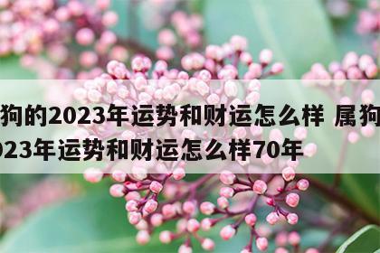 属狗的2023年运势和财运怎么样 属狗的2023年运势和财运怎么样70年