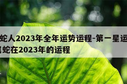 属蛇人2023年全年运势运程-第一星运网 属蛇在2023年的运程