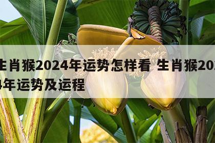 生肖猴2024年运势怎样看 生肖猴2024年运势及运程